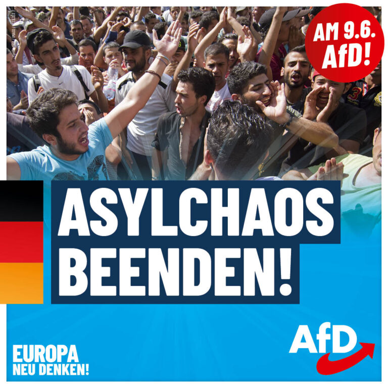 AfD_EW2024_Plakate_1080x1080_Asylchaos