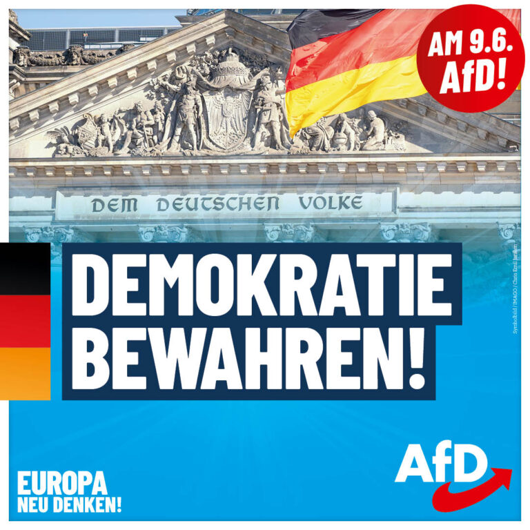 AfD_EW2024_Plakate_1080x1080_Demokratie