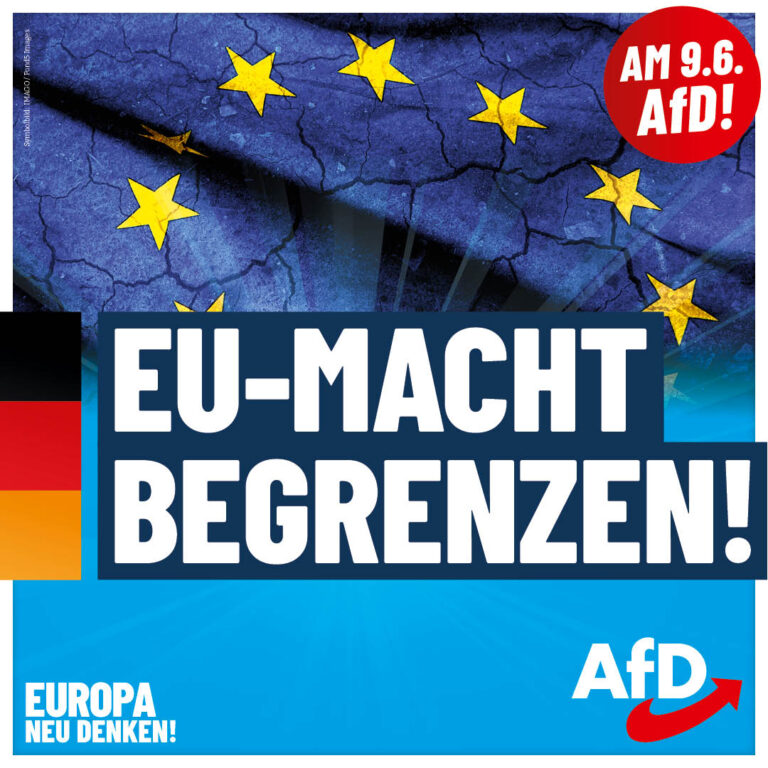 AfD_EW2024_Plakate_1080x1080_EU-Macht