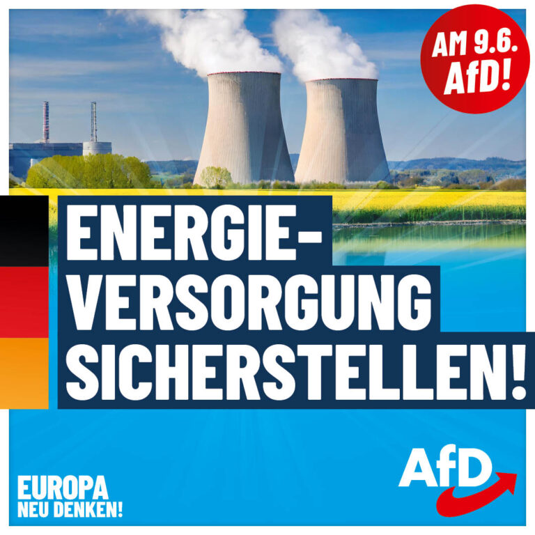 AfD_EW2024_Plakate_1080x1080_Energie_Pipeline